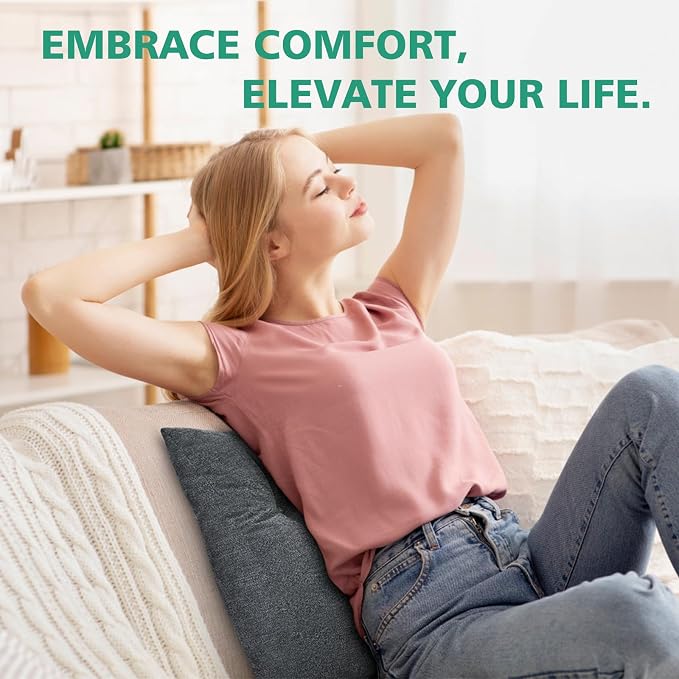 Shinnwa Lumbar Support Pillow for Office Chair, Memory Foam Back Support Pillow for Back Pain Relief, Car, Chair and Couch, 17.5x15x4.5in, Charcoal