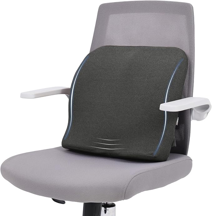 baibu Lumbar Support Pillow for Office Chair, Memory Foam Back Support Cushions Ergonomic Orthopedic Lumbar Pillow for Home, Office, Car, Dark Grey