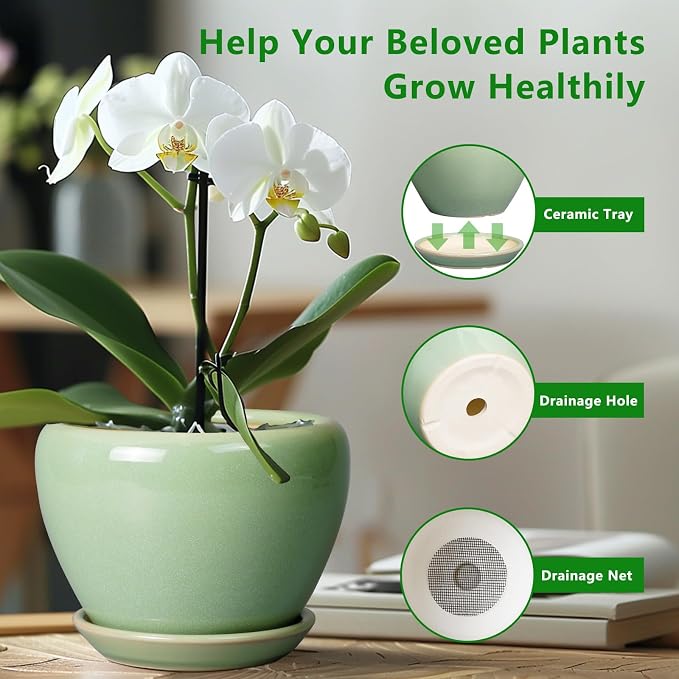Ceramicfor 6 Inch Plant Pot - Ceramic Planter for Indoor Plants Round Planter Outdoor Plant Pot with Drainage Hole and Saucer Modern Flower Pot for Succulent Garden Green