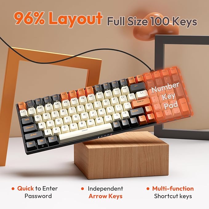RK ROYAL KLUDGE RK100 Wireless Mechanical Keyboard RGB Backlit Bluetooth5.1/2.4G/Wired 96% Full Size 100-Key Hot Swappable Gaming Keyboard Blue Switch Carbon