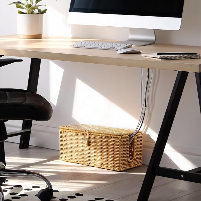 Cable Management Box, Handwoven Synthetic Rattan Cable Organizer, 2 Side Open Slots Cords Hider Box, Under Desk Cord Organizer for USB Wire, TV PC Charger & Power Strip, Natural
