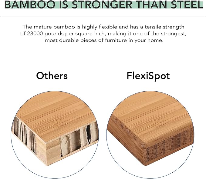 FlexiSpot E6 Bamboo 3-Stage Dual Motor 60 x 30 Electric Standing Desk Sit Stand Up Desk, Holds 220 lbs, Adjustable Height w/ Memory Presets, Solid Bamboo Desktop & Black Frame, Ships in 2 Boxes