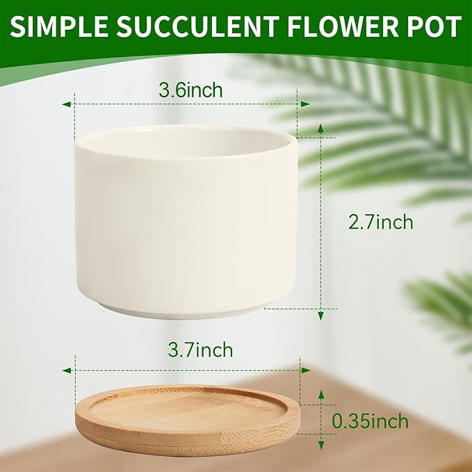 ZOUTOG Ceramic Succulent Pots 8 Pack,3.6 Inch Plant Pots,Succulent Planters with Drainage Hole & Bamboo Tray for Indoor Plants,White Small Flower Planters for Home,Office,Desk