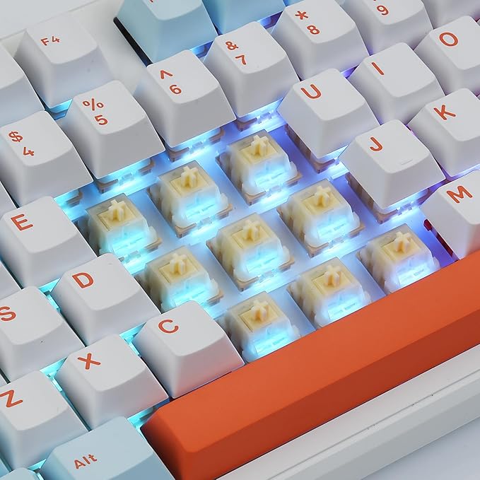ELUTENG Brown Mechanical Keyboard Switches 100 Pieces 48gf Tactile Switches for Gaming Mechanical Keyboards 5 Pins POM Stem Pre Lubed Key Switches Compatible with MX Keyboard