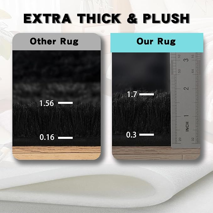 Black Area Rugs for Living Room, 5x7 Fluffy Shaggy Rug Soft Carpets, Rugs for Bedroom Nursery Kids Room Dorm Home Decor Aesthetic