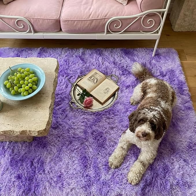 Mugorn Small Soft Shag Rugs for Bedroom, 3x5 Fluffy Area Rugs for Living Room
