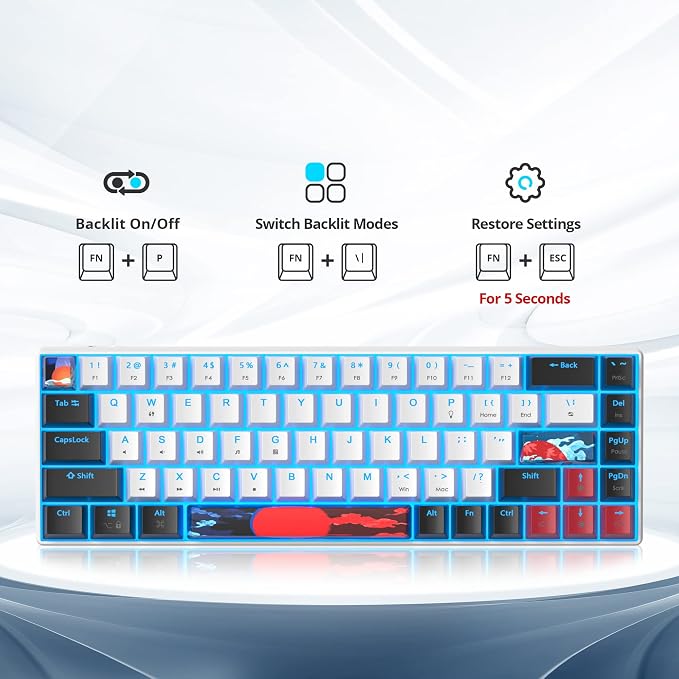 60 Percent Gaming Keyboard 68 Keys Mechanical Keyboard LED Backlit Compact Wired Keyboard with Red Switch for Windows PS4/5 Xbox Gamer(Black-White)