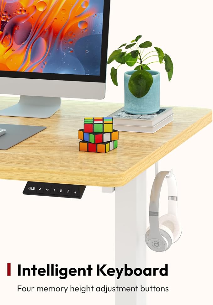 SANODESK One-Piece Electric Standing Desk, Seamless 60 x 24'' Ergonomic Height Adjustable Sit Stand Desk with Memory Presets for Home Office Computer Workstation, White Frame/Natural Top