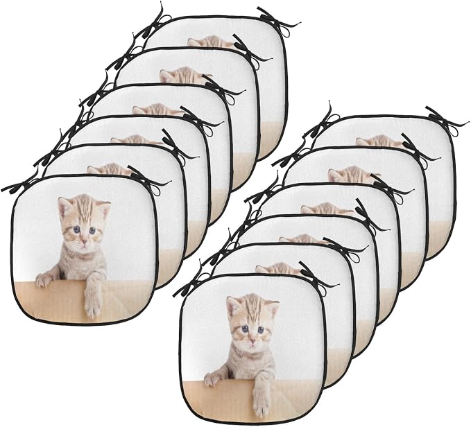 Lunarable Cat Chair Cushion Pads Set 12, British Cat in Cardboard Box Little Striped Fur Looking at Camera Picture, Anti-Slip Seat Padding for Kitchen & Patio, 16"x16", Sand Brown White