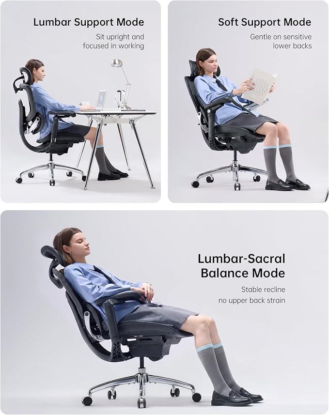SIHOO Doro C300 Pro V2 Ergonomic Office Chair, Full-Body Adaptive Support, 8D Armrests & Breathable Mesh, Comfy High Back Computer Desk Chair for Long Hours, 135° Recline, 2 Packs, Black