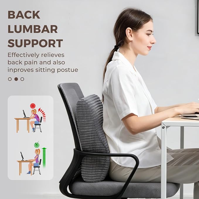 Lumbar Support Pillow for Recliner Chair/Accent Chair/Couch, Large Memory Foam Back Support Cushion for Elderly, Ergonomic Backrest Pillow for Back Rest, Pain Relief, Reading, Washable Cover, Gray