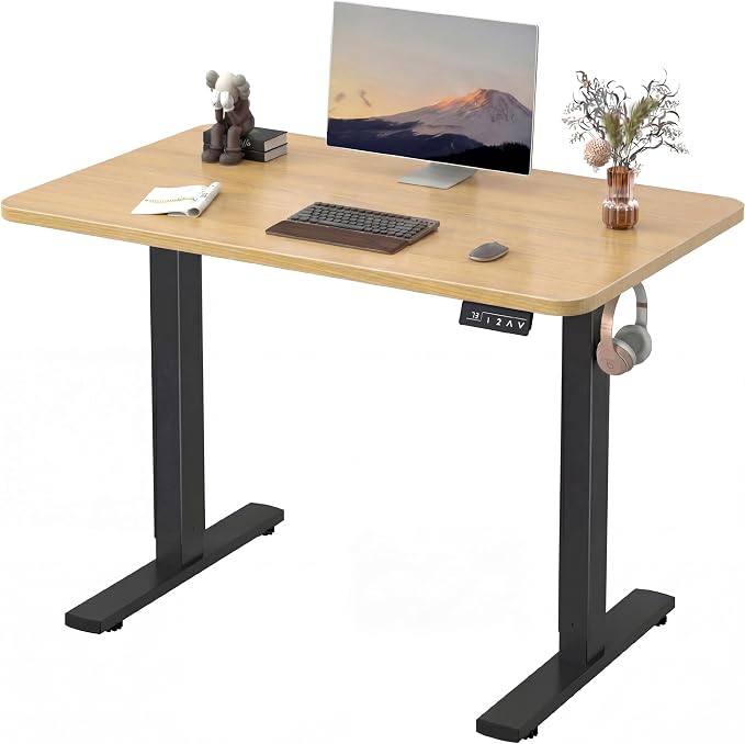Furmax Electric Height Adjustable Standing Desk Large 48 x 24 Inches Sit Stand up Desk Home Office Computer Desk Memory Preset with T-Shaped Metal Bracket, Wood