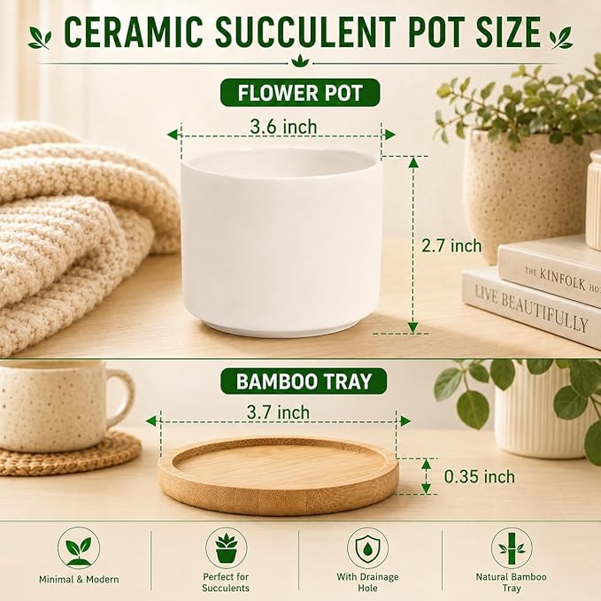 ZOUTOG Ceramic Succulent Pots,3.6 Inch Plant Pots,Succulent Planters with Drainage Hole & Bamboo Tray for Indoor Plants,White Small Flower Planters for Home,Office,Desk(6 Pack)
