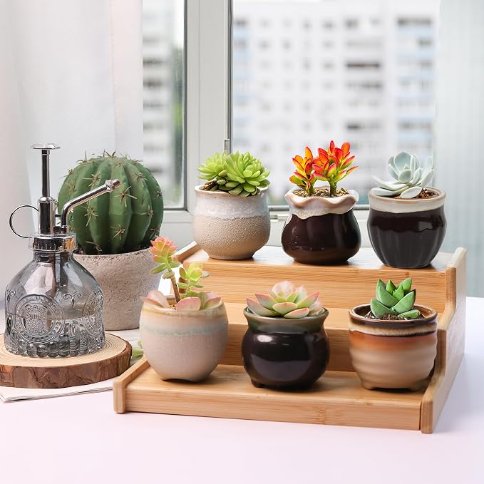 T4U Mini Ceramic Succulent Pots Set of 6, Round Tiny Planters with Drainage Holes and Grid Pads, Small Cactus Flower Pots for Windowsill Desk Decor, Gift for Plant Lovers