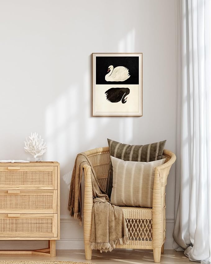 VIYYIEA Framed Wall Art for Living Room, Swan Canvas Prints, Vintage Home Decor, Animals Painting Picture, Bathroom Wall Decor Gifts for Friends or Family - 20L x 16W