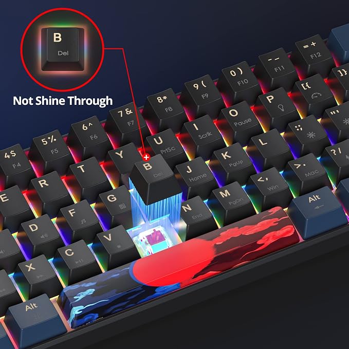 60 Percent Gaming Keyboard Mechanical with Linear Red Switch, 60% Wired Ultra-Compact Mini Keyboard Rainbow with PBT Keycaps for Ps4/Ps5/Xbox(61 Blue)