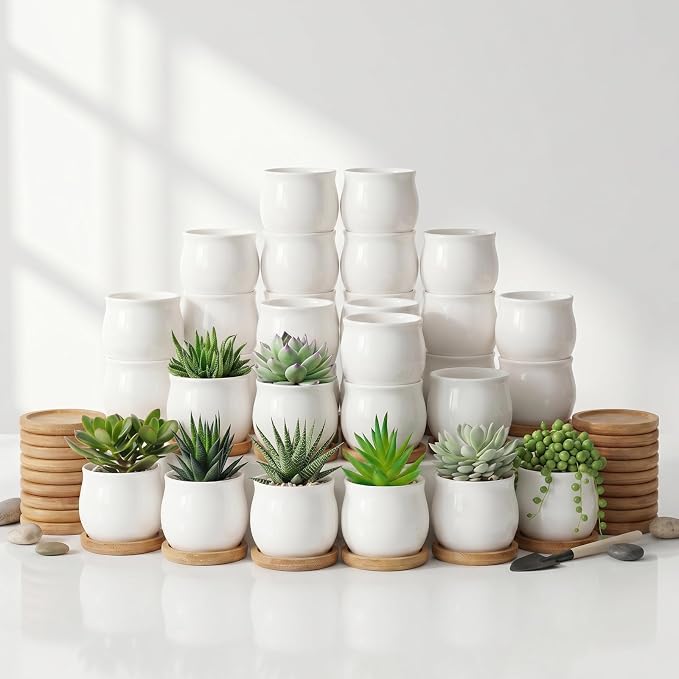 SHECIPIN 24 Pcs 2.5 Inch Small Succulent Pots with Drainage & Bamboo Trays - Assorted Small Succulent Planters Bulk for Home Office Garden Decor