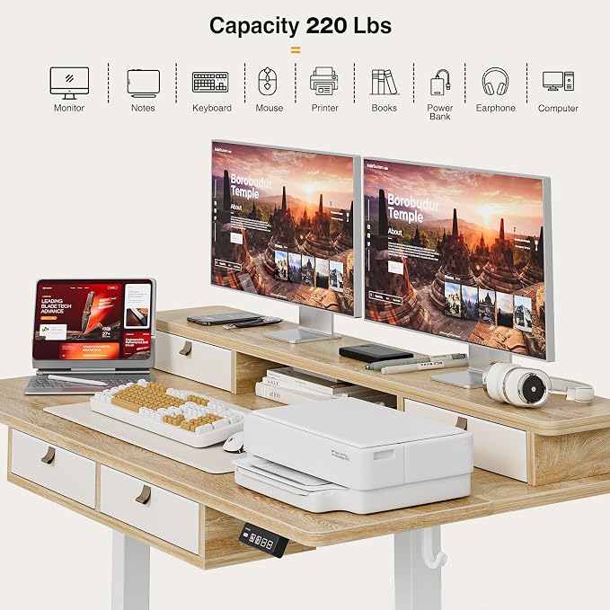 Grandder Electric Standing Desk with Four Drawers, Sit to Stand Up Height Adjustable Desk with Storage Shelf for Home Office, 55 * 28 Inch, Study, Ergonomic Adjustable Computer Desk, Oak