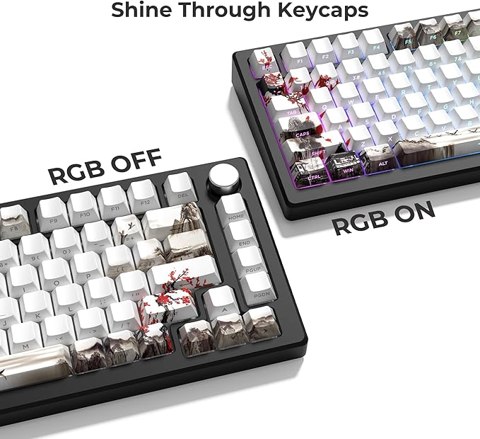 XVX PBT Keycaps, Custom Keyboard Keycaps 60 75 100 Percent, Shine Through Cherry Profile Keyboard Caps, Doubleshot Side Print Dye Sub Keycap Set (Plum Blossom)