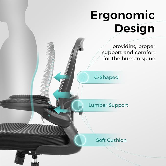 ALPHA HOME Ergonomic Mesh Office Chair, High Back, Black | Executive Computer Chair with Armrests, Sturdy Desk Chair with Height Adjustable Lumbar Support, Rolling Swivel Task Chair
