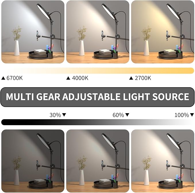 Selfie Light Kit for Desk and Laptop,55W Dimmable Full Screen Ring Light,with Rotating Storage Box,Pen Holder Stand,Phone Holder and Controller (Ice Blue, 10.5)