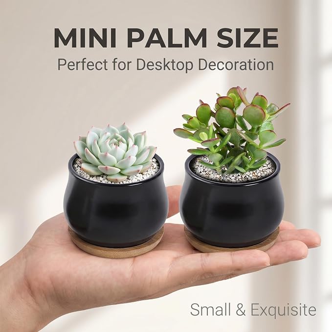 SHECIPIN 2 Pack Succulent Pots, 2.5 Inch Mini Ceramic Pots for Flower or Cactus Plants with Drainage Hole,Plants Not Included (Black)