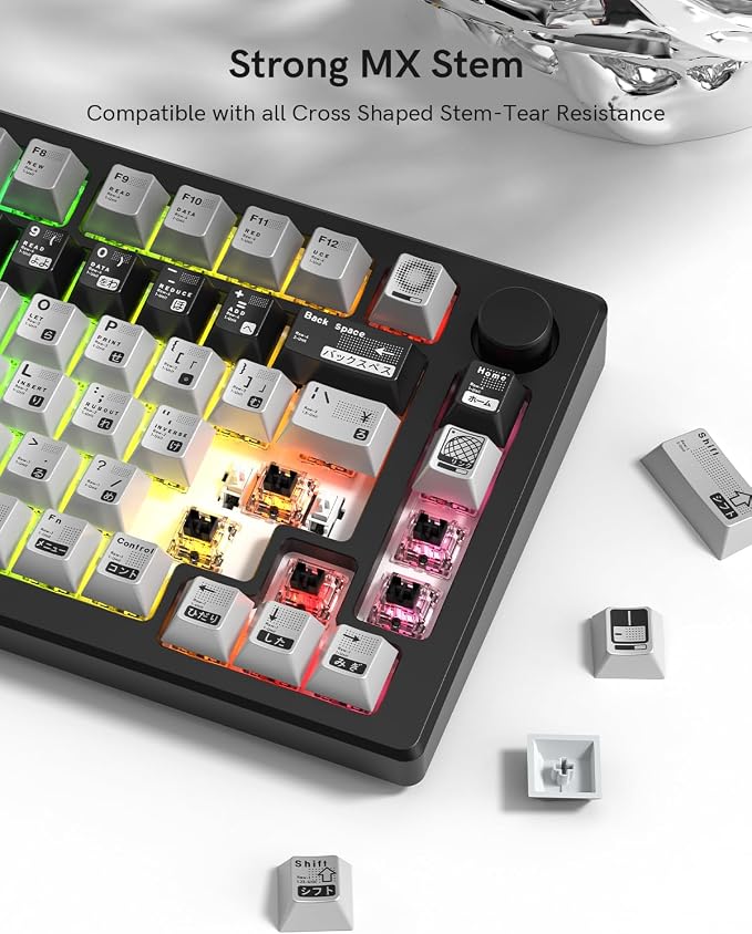 PBT Keycaps with Metal Paint, Janese Style 112-Key Black/Silver Custom Keycap Set dye Sublimation,Cherry Profile Key caps for 61/64/66/68/75/84/87 MX Switches Mechanical Keyboards