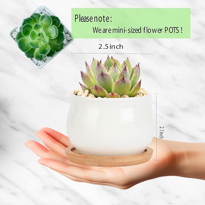 SHECIPIN 24 Pcs 2.5 Inch Small Succulent Pots with Drainage & Bamboo Trays - Assorted Small Succulent Planters Bulk for Home Office Garden Decor