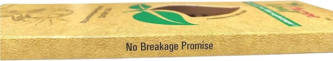 three leaf Recycled Paper Pencils (Pack of 10) - 100% Eco Friendly, Earth Friendly Pencil with Latex Free Eraser - Non toxic Wood free Pencil, 2 HB