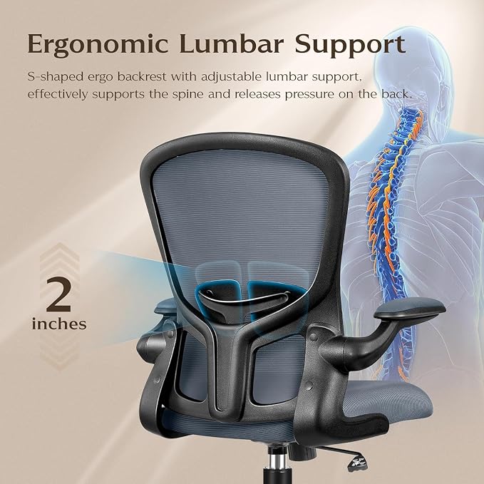 FelixKing Office Desk Chairs, Ergonomic PC Desk Chair with Wheels, Adjustable Lumbar Support and Height, Swivel Computer Chair with Flip-up Armrests, Ergo Mesh Backrest for Working(Dark Gray)