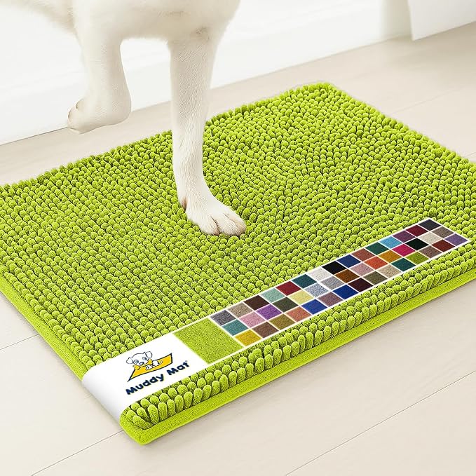 Muddy Mat® | Super Absorbent Door Mat Indoor, Microfiber Quick Dry Chenille Entryway Rug, Non-Slip Front Door Mat, Indoor Mats for Entryway, Machine Washable Pet Rug, Spring Green 16" x 24"