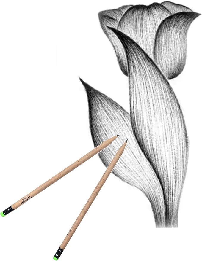 three leaf Recycled Paper Pencils (Pack of 10) - 100% Eco Friendly, Earth Friendly Pencil with Latex Free Eraser - Non toxic Wood free Pencil, 2 HB