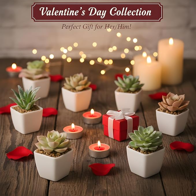 Tiita 24 Set Artificial Faux Succulents in Pots Fake Plants Plastic Arrangement Planter Small Mini Tiny Decoration for Home Office Desk Window Sill Bathroom Bedroom Outdoor Indoor