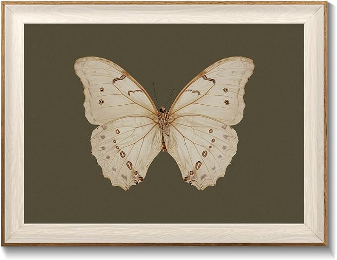 Uniro Vintage Framed Wall Art, Classical Butterfly Oil Paintings, Dark Moody Insect Canvas Prints Artwork with Antique Frame, Saige Green Wall Decor Pictures for Bedroom, Kitchen, Shelf, Bathroom Wall Decor, Cottagecore Room Decor - 12x16Inch