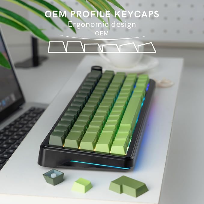 dagaladoo Double Shot PBT Keycaps Set, Shine Through Keyboard keycaps,Side Printed Custom Key caps 60% 75% 100%,OEM Profile Japanese keycap for Mechanical Keyboard MX Switch,Matcha Green