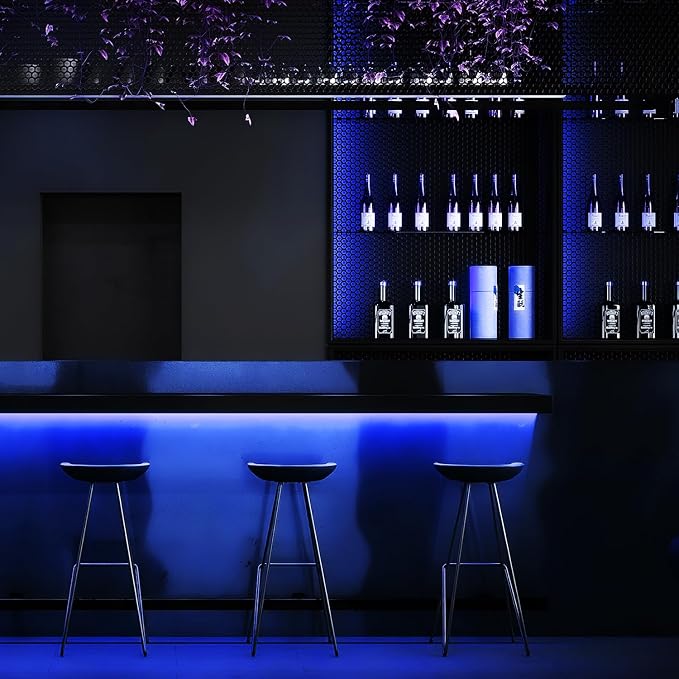 iNextStation 12V Blue LED Strip Lights 16.4FT, Flexible Silicone Neon Rope Light with Power Adapter, Waterproof, Cuttable, Dimmable & Linkable, LED Lights Strip for Bedroom, Kitchen(with Plug)