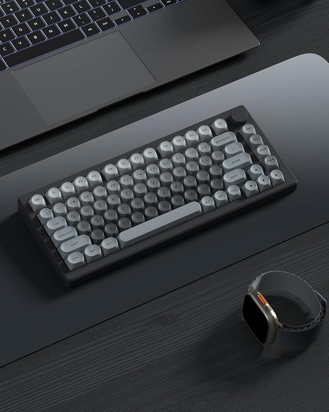 PBT Keycaps, Matte Gradient Gray Jelly Keycaps, MOA Profile, 129 Keys Minimalist Style Custom Key caps for Cherry Gateron MX Mechanical Keyboard, Ergonomic, No Tear & Never Fades