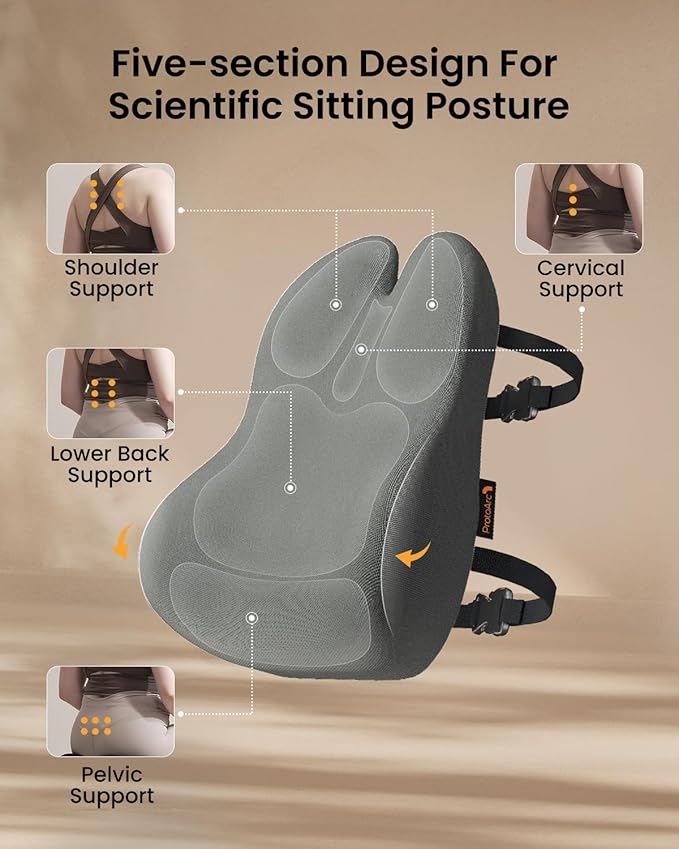 ProtoArc Lumbar Support Pillow for Office Chair, Back Support Pillow, Gray | Memory Foam Pillow for Lower Back Fatigue Relief, Lumbar Pillow Desk Chair Back Cushion, Ergonomic Back Rest for Chair