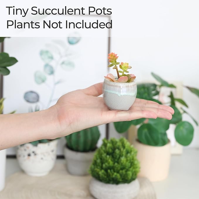 T4U Mini Ceramic Succulent Pots Set of 6, Round Tiny Planters with Drainage Holes and Grid Pads, Small Cactus Flower Pots for Windowsill Desk Decor, Gift for Plant Lovers