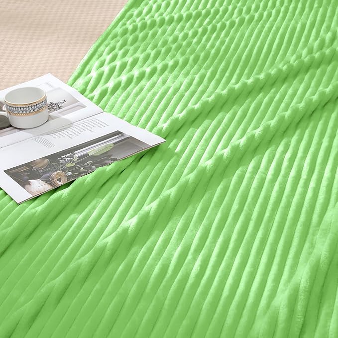 Vessia Flannel Fleece Throw Blanket (50X70 inch), 300GSM Lightweight Light Green Blanket for Couch, Sofa and Bed - Warm and Soft Green Throw for All Season