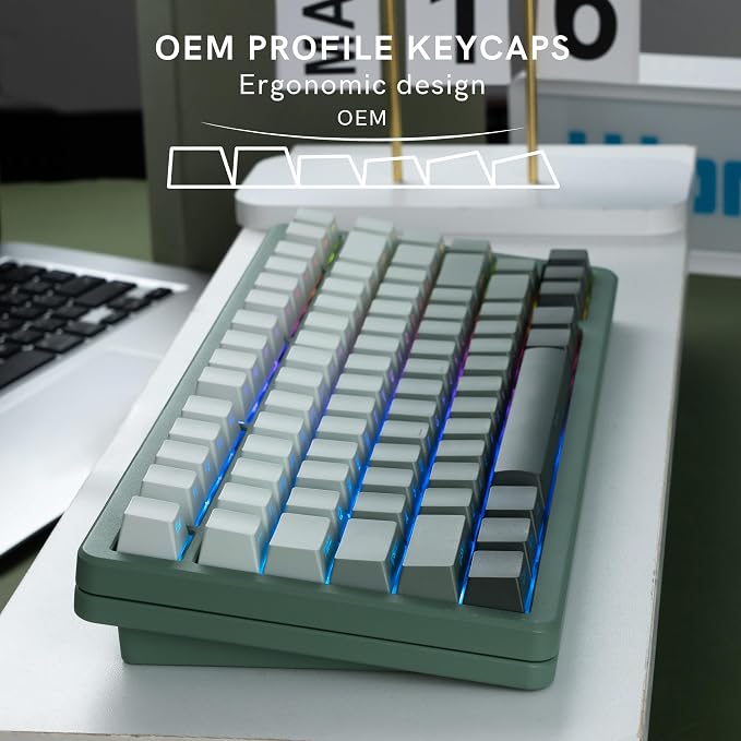 dagaladoo Double Shot PBT keycaps Set,Shine Through Keyboard keycaps Gradient 60% 75% 100%,OEM Profile Keyboard caps,Side Printed Key caps for Mechanical Gaming Keyboards,Seaweed Green