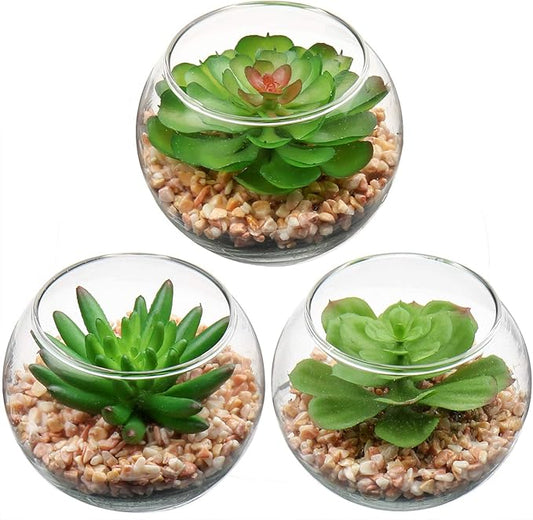Briful Mini Fake Plants 3 Packs Artificial Succulents Plants in Round Glass Vase Cute Faux Succulents for Bathroom Kitchens Shelf Table Decor