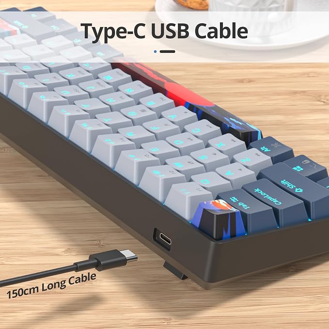 60 Percent Gaming Keyboard 61 Keys Wired Mechanical Keyboard Ultra Compact Key Board Red Switch LED Backlit for Windows Laptop Gamer