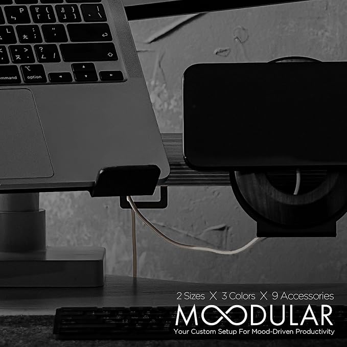 Moodular Cable Organizer 2-Pack Add-On for Rails, Do Not Use Alone | Accessory Only, Cables Organized, Hidden Yet Accessible, Durable & Secure, Tangle-Free & Efficient, Metal, Black, MSA-CO