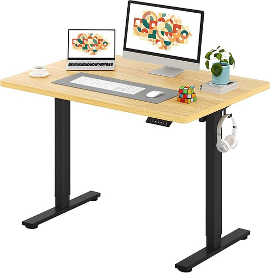 SANODESK One-Piece Electric Standing Desk, Seamless 48 x 30'' Ergonomic Height Adjustable Sit Stand Desk with Memory Presets for Home Office Computer Workstation, Black Frame/Natural Top