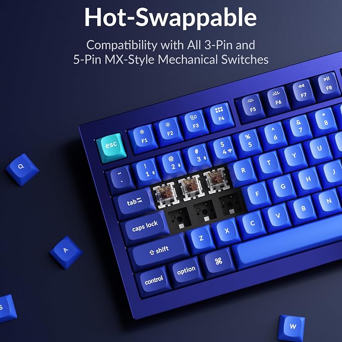 Keychron Q1 RGB Wired Custom Mechanical Keyboard, 75% Layout RGB Backlight with Hot-swappable Gateron G Pro Brown Switch Double Gasket Compatible with Mac Windows Linux (Blue) -Version 2