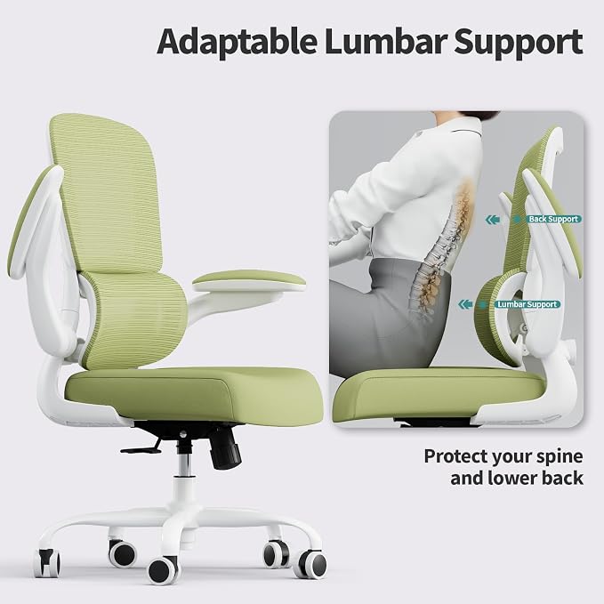 TRALT Office Chair - Ergonomic Desk Chair with Adjustable Lumbar Support, Mesh Computer Chair, Executive Chairs for Home Office Comfortable Lumbar Support (White Green)