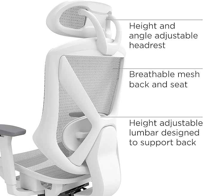 STAPLES Ergonomic Task Chair, Mesh, Ergonomic, Lumbar Support, Gray