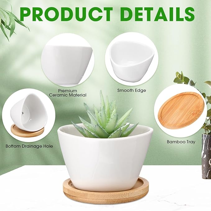 Domensi 12 Pack Succulent Planter Pots 3 Inch Small Plant Pots Mini Ceramic Succulent Planter Holder with Drainage Holes and Bamboo Saucers (White)