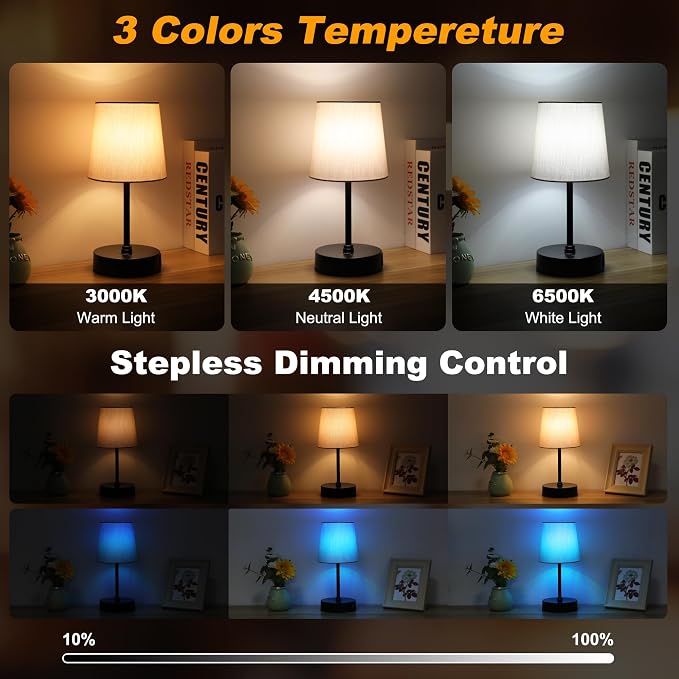 Ascher Small Bedside Table lamp Set of 2, RGB Color Changing Lamps, 3 Color Temperatures Nightstand Lamps with USB C and A Ports, Touch Dimmable Desk Lamp for Bedroom Living Room(Grey Shade)